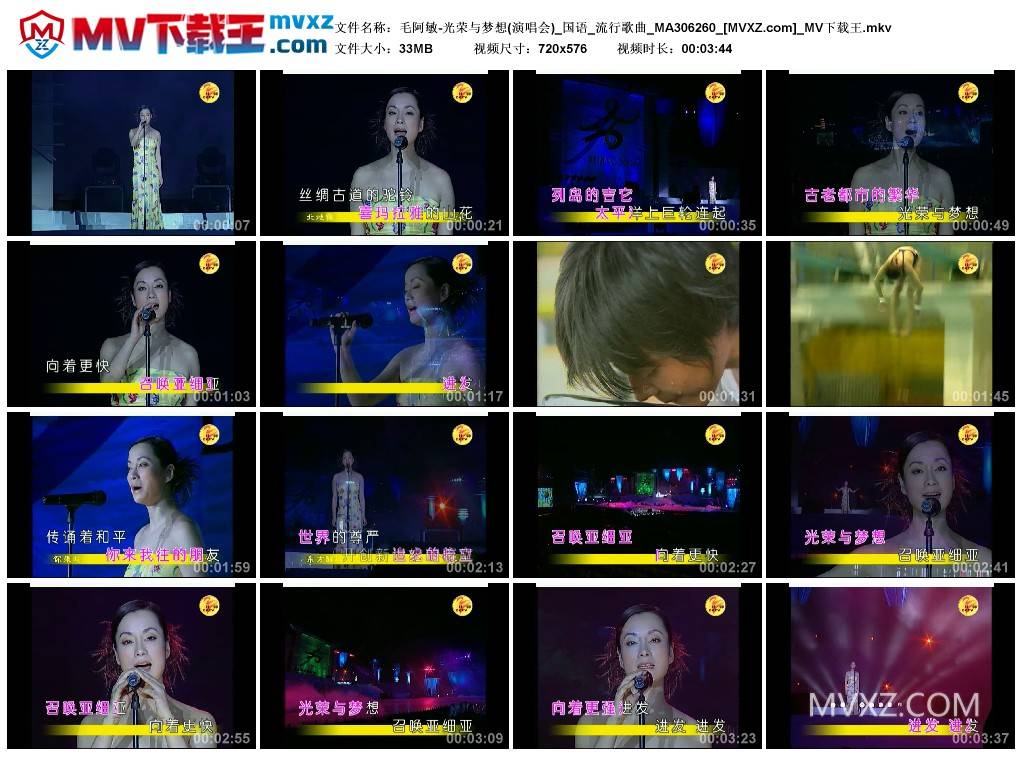毛阿敏-光荣与梦想(演唱会)_国语_流行歌曲_MA306260